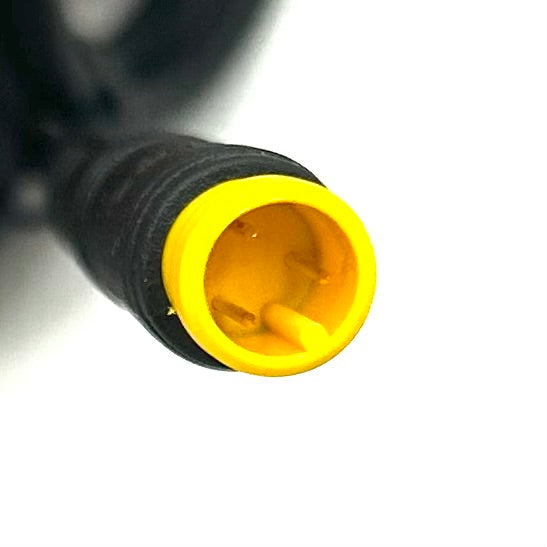 Tail Light 2024