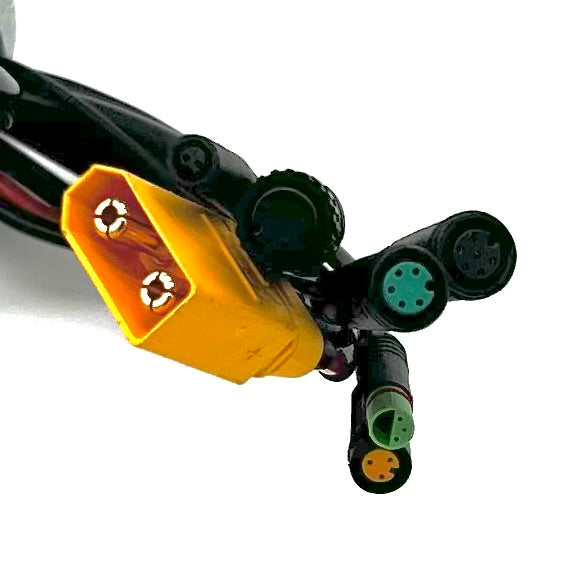 Controller Tri-Cycle SST