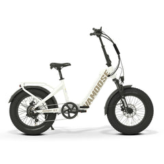 Collection image for: Electric Cycles : Comfort