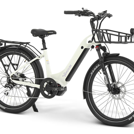 Basket Cruiser Style