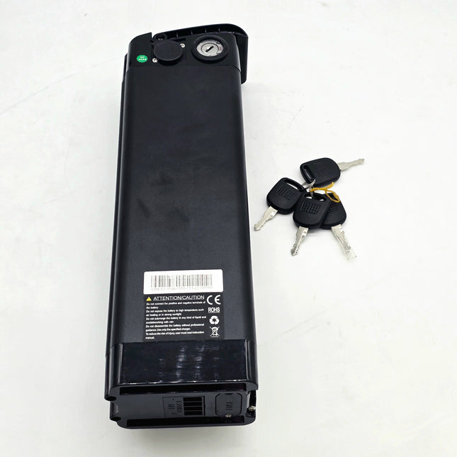 Battery Samsung 52V 15Ah Cruiser