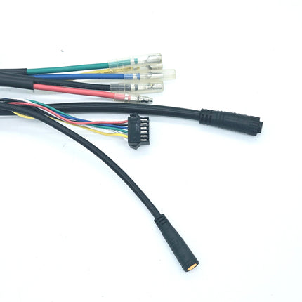 Controller Bisek Brushless Rear Motor 48V