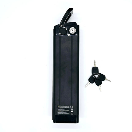 Battery Samsung 48V 15 Ah Cr R