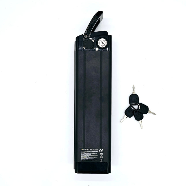 Battery Samsung 48V 15 Ah Cr R