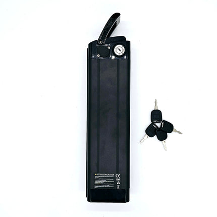 Battery Samsung 48V 15 Ah Cr R