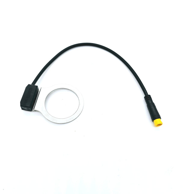 Cadence Sensor Mammoth