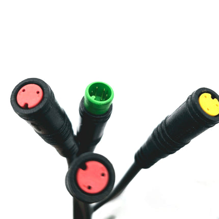 Wiring Harness Mammoth