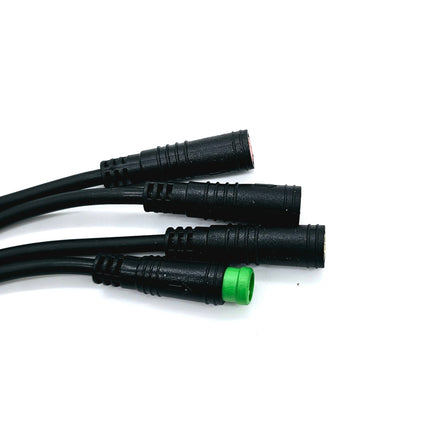 Wiring Harness Mammoth